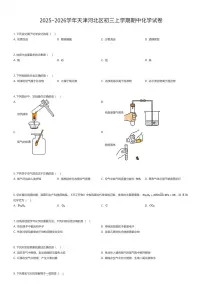2025~2026学年天津河北区初三上学期期中化学试卷（有答案解析）