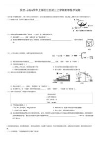 2025~2026学年上海松江区初三上学期期中化学试卷（有答案解析）