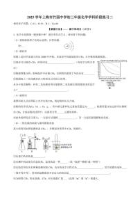 2025-2026学年上海市竹园中学九年级上学期12月月考化学试卷（有答案）