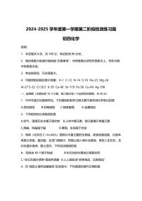 2024-2025学年山东省烟台市莱山区（五四学制）九年级上学期期末化学试题（有答案）