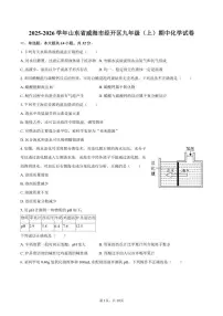2025-2026学年山东省威海市经开区九年级（上）期中化学试卷（有答案）