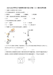 2025-2026学年辽宁省铁岭市西丰县九年级（上）期末化学试卷-自定义类型