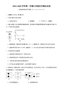甘肃省武威市凉州区金山镇九年制学校2024-2025学年九年级上学期期末化学试卷-A4