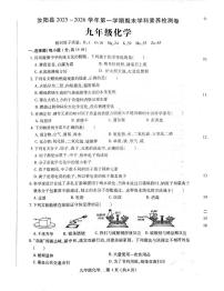 洛阳市汝阳县2025-2026学年九年级上学期期末化学试题及答案