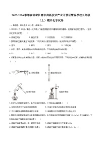 2025-2026学年吉林省长春市高新技术产业开发区慧谷学校九年级（上）期末化学试卷-自定义类型