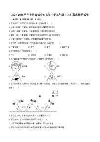 2025-2026学年吉林省长春市实验中学九年级（上）期末化学试卷-自定义类型