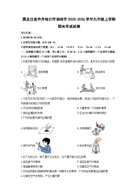 2025-2026学年黑龙江省齐齐哈尔市讷河市九年级上学期期末考试化学试卷（学生版）