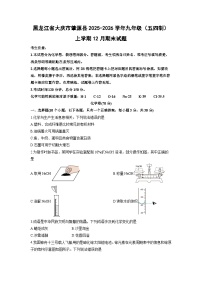 2025-2026学年黑龙江省大庆市肇源县九年级（五四制）上学期12月期末化学试卷（学生版）