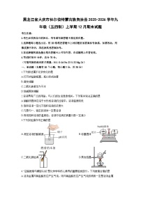 2025-2026学年黑龙江省大庆市杜尔伯特蒙古族自治县九年级（五四制）上学期12月期末化学试卷（学生版）