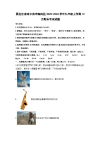 2025-2026学年黑龙江省哈尔滨市南岗区九年级上学期12月期末考试化学试卷（学生版）