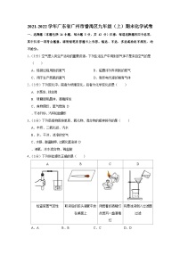 2021-2022学年广东省广州市番禺区九年级上学期期末化学试卷（含答案）