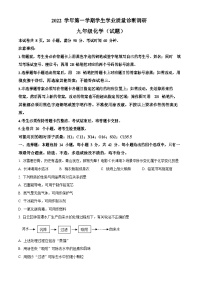 2022-2023学年广东省广州市白云区九年级上学期期末化学试题（含答案）