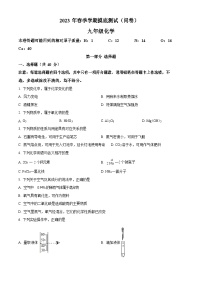 2023学年广东省广州市海珠区九年级上学期期末化学综合训练试卷（含答案）