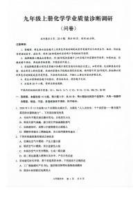 2024-2025学年广东省广州市白云区九年级上学期化学期末考试（含答案）