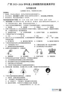 广西壮族自治区柳州市柳江区-2025-2026学年九年级上学期1月月考化学试题