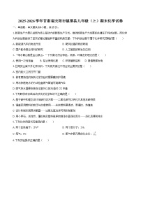 2025-2026学年甘肃省庆阳市镇原县九年级（上）期末化学试卷-自定义类型
