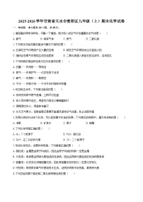 2025-2026学年甘肃省天水市麦积区九年级（上）期末化学试卷-自定义类型