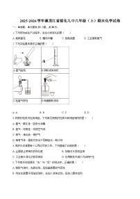 2025-2026学年黑龙江省绥化九中八年级（上）期末化学试卷-自定义类型