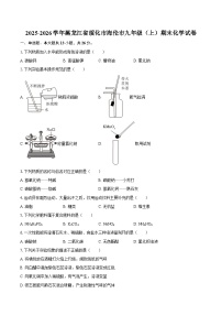 2025-2026学年黑龙江省绥化市海伦市九年级（上）期末化学试卷-自定义类型