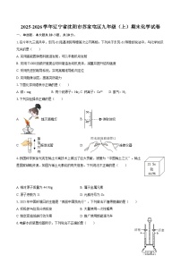 2025-2026学年辽宁省沈阳市苏家屯区九年级（上）期末化学试卷-自定义类型