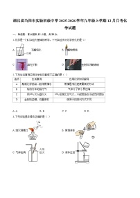 湖北省当阳市实验初级中学2025-2026学年九年级上学期12月月考化学试题-自定义类型
