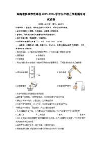 2025-2026学年湖南省娄底市双峰县九年级上学期期末考试化学试卷（学生版）