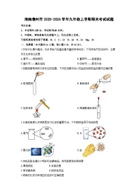 2025-2026学年海南儋州市九年级上学期期末考试化学试卷（学生版）