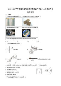 2025-2026学年黑龙江省哈尔滨市南岗区八年级（上）期末化学试卷（含答案）