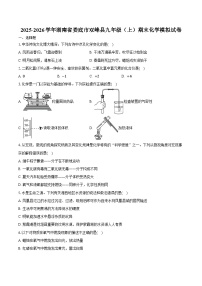2025-2026学年湖南省娄底市双峰县九年级（上）期末化学模拟试卷（含答案）