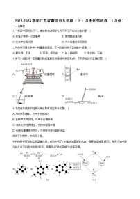 2025-2026学年江苏省南通市九年级（上）月考化学试卷（1月份）（含答案）