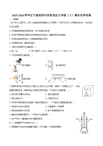 2025-2026学年辽宁省沈阳市苏家屯区九年级（上）期末化学试卷（含答案）