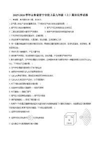 2025-2026学年山东省济宁市汶上县九年级（上）期末化学试卷（含答案）
