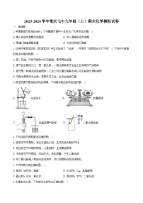 2025-2026学年重庆七中九年级（上）期末化学模拟试卷（含答案）