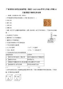 广东深圳市光明区实验学校（集团）2025-2026学年九年级上学期12月素养提升调研化学试卷（含答案）