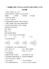 广东省廉江市第八中学2025-2026学年九年级上学期12月月考化学试卷（含答案）