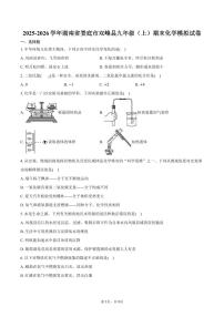 2025-2026学年湖南省娄底市双峰县九年级（上）期末化学模拟试卷（含答案）