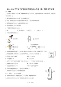 2025-2026学年辽宁省沈阳市苏家屯区九年级（上）期末化学试卷（含答案）