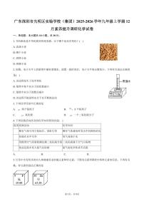 广东深圳市光明区实验学校（集团）2025-2026学年九年级上学期12月素养提升调研化学试卷（含答案）