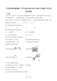 广东省河源市紫城第二中学2025-2026学年九年级上学期第二次月考化学试卷（含答案）