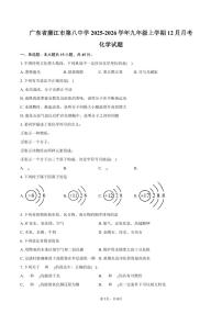 广东省廉江市第八中学2025-2026学年九年级上学期12月月考化学试卷（含答案）