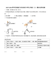 2025-2026学年甘肃省兰州市知行中学九年级（上）期末化学试卷-自定义类型