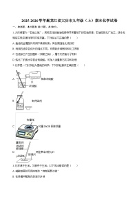 2025-2026学年黑龙江省大庆市九年级（上）期末化学试卷-自定义类型