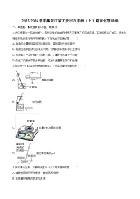 2025-2026学年黑龙江省大庆市九年级（上）期末化学试卷-自定义类型