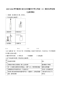 2025-2026学年黑龙江省大庆市肇州中学九年级（上）期末化学试卷（五四学制）-自定义类型