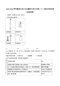 2025-2026学年黑龙江省大庆市肇州中学九年级（上）期末化学试卷（五四学制）-自定义类型