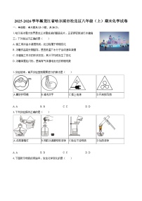 2025-2026学年黑龙江省哈尔滨市松北区八年级（上）期末化学试卷-自定义类型
