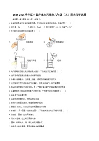 2025-2026学年辽宁省丹东市凤城市九年级（上）期末化学试卷-自定义类型