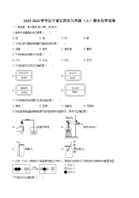 2025-2026学年辽宁省辽阳市九年级（上）期末化学试卷-自定义类型