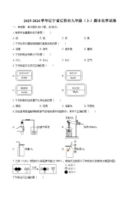 2025-2026学年辽宁省辽阳市九年级（上）期末化学试卷-自定义类型