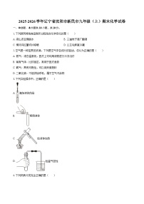 2025-2026学年辽宁省沈阳市新民市九年级（上）期末化学试卷-自定义类型